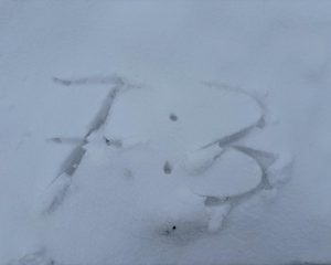 Starke Einzel führen zum Sieg in Buchen